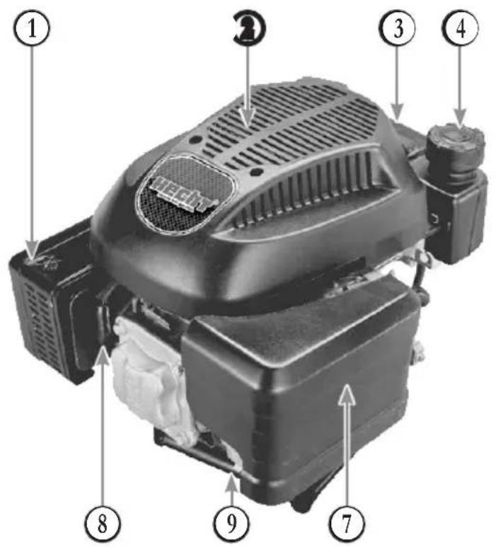Hecht 5161 - 1B ENGINE.DESCRIPTION.AND.CONTROL.INSTRUMENTS./.MOTORBESCHREIBUNG.UND.BEDIENUNGSELEMENTE./.POPIS.MOTORU.A.OVLÁDACÍ.PRVKY./.POPIS.MOTORA.A.OVLÁDACIE.PRVKY./.OPIS.SILNIKA.I.URZĄDZENIA.STERUJĄCEGO - 1