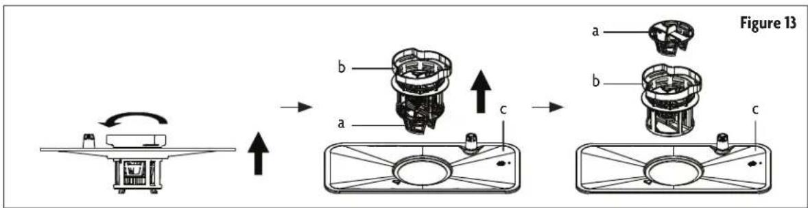 Figure 13 a b c a b c