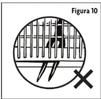 Figura 10