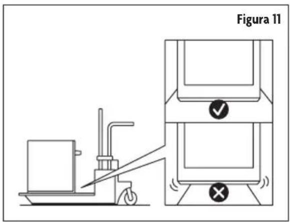 Figura 11