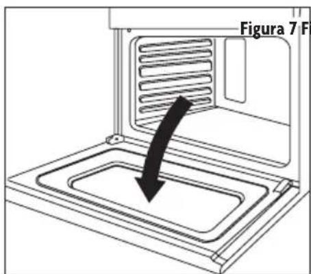 Figura 7 F