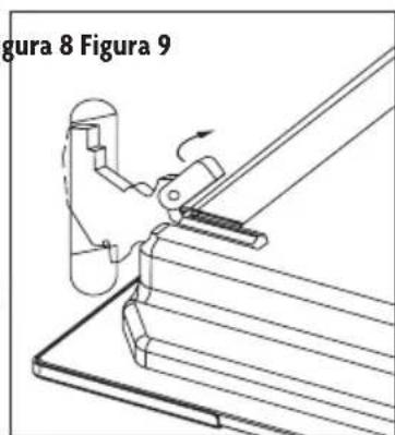 figura 8 Figura 9