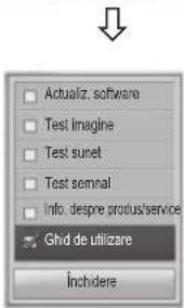 Actualiz. software Test imagine Test sunet Test semnal Info: despre produs/service Ghid de utilizare Inchidere