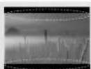 LG 50PN6500 - PRZESTROGA - 28
