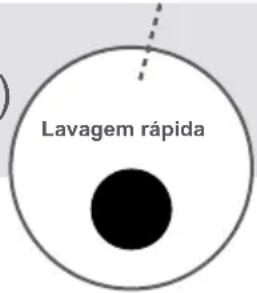 Lavagem rápida