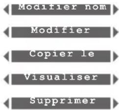 Modifier nom Modifier Copier le Visualiser Supprimer