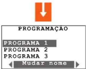 PROGRAMAÇÃO PROGRAMA 1 PROGRAMA 2 PROGRAMA 3 Mudar nome