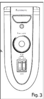 Kommere Irris Fig. 3