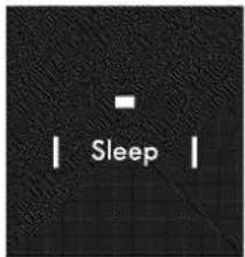 Sleep