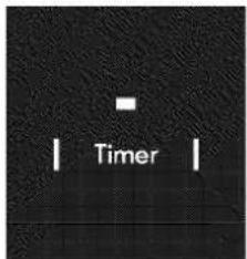 Timer
