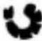 Arendo 303593 - Programas - 7
