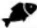 Arendo 303593 - Programas - 3