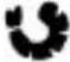 Arendo 303593 - Funktionsprogramme - 7