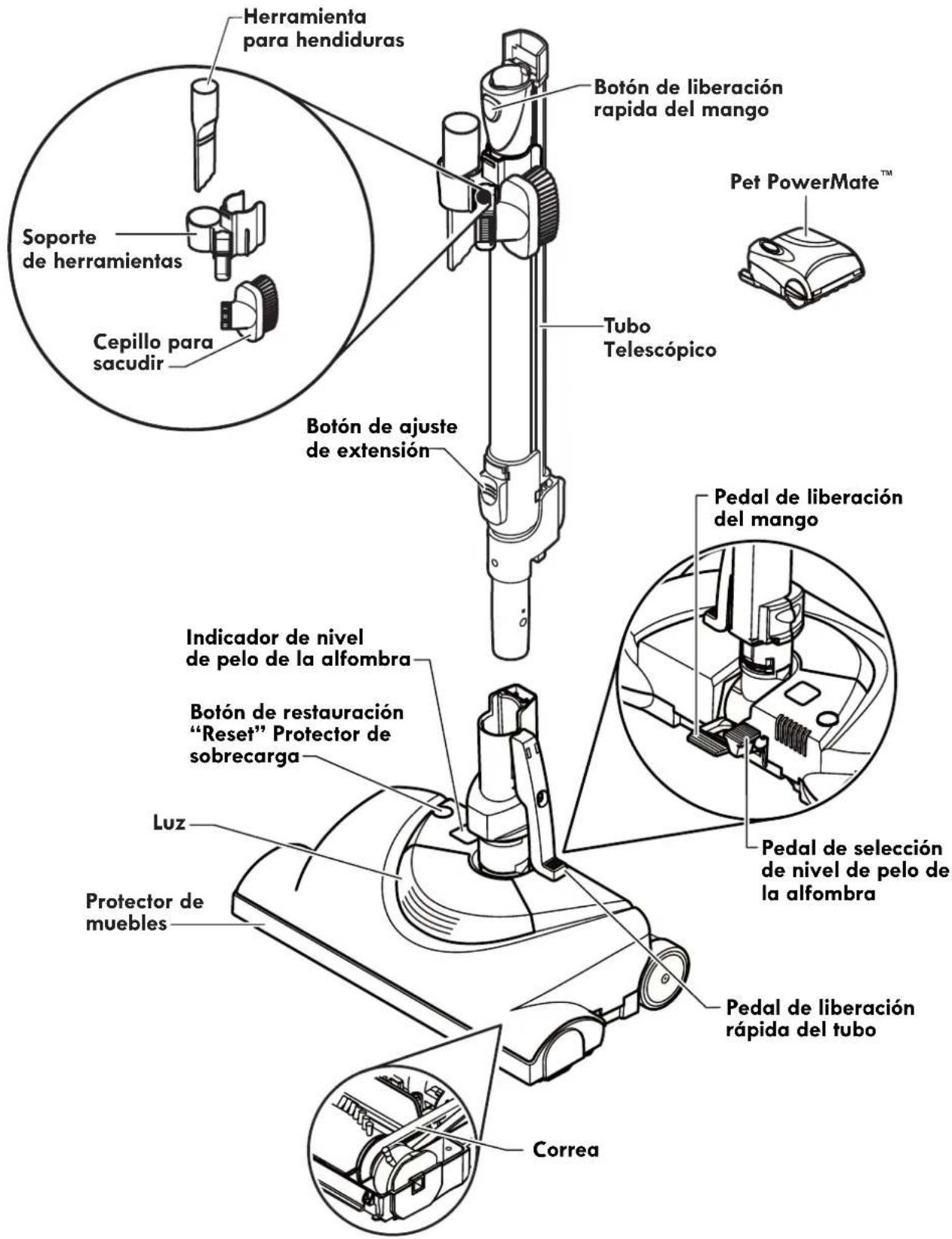 Herramienta para hendiduras Soporte de herramientas Cepillo para sacudir Botón de liberación rápida del mango Tubo Telescópico Botón de ajuste de extensión Indicador de nivel de pelo de la alfombra Botón de restauración "Reset" Protector de sobrecarga Luz Protector de muebles Correa Pet PowerMate™ Pedal de liberación del mango Pedal de selección de nivel de pelo de la alfombra Pedal de liberación rápida del tubo