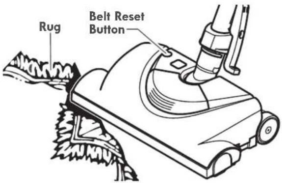Rug Belt Reset Button