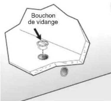 Bouchon de vidange