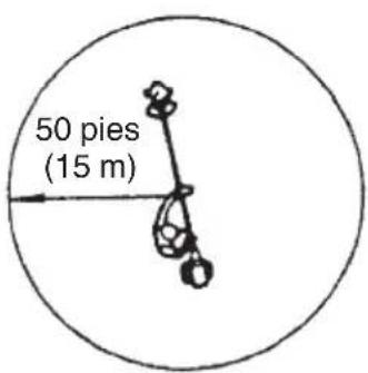 50 pies (15 m)