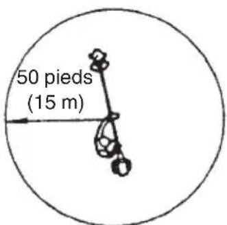 50 pieds (15 m)