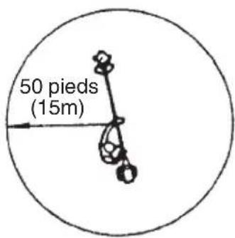 50 pieds (15m)