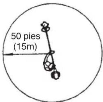 50 pies (15m)