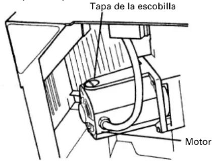 Tapa de la escobilla Motor