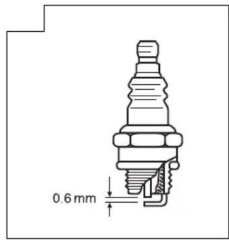 0.6 mm