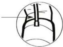 HOMEDICS BPS-060-DDM - USO DEL BRAZALLETE - 4
