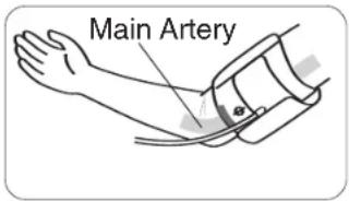 Main Artery