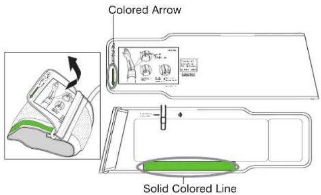Colored Arrow Solid Colored Line