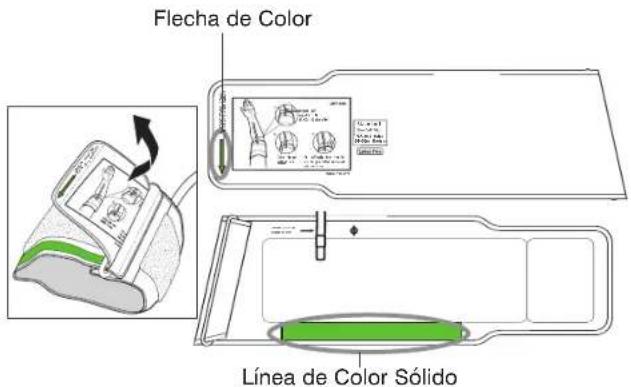 Flecha de Color Línea de Color Sólido