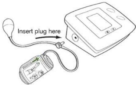 Insert plug here