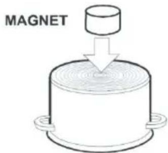 MAGNET