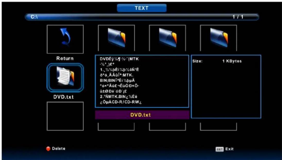 TEXT C:\ 1 / 1 Return DVD.txt DVD.txt Size: 1 KBytes Delete Exit Exit