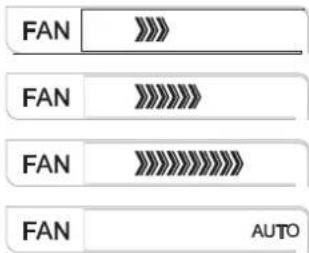 FAN >>> FAN >>>### FAN >>>### FAN AUTO