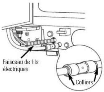 Faisceau de fils électriques Colliers