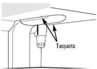 Taquets