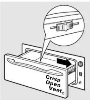 Crisp Open Vent