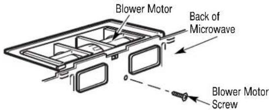 Blower Motor Back of Microwave Blower Motor Screw
