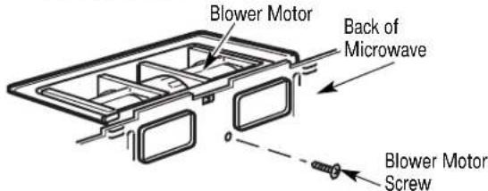 Blower Motor Back of Microwave Blower Motor Screw