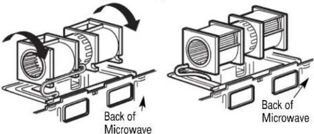 Back of Microwave Back of Microwave