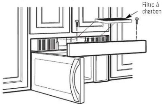 Filtre à charbon