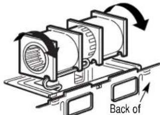 Back of