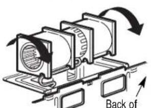 Back of