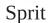 Daniel Steiger Atlantic Sport - How to Use Stopwatch Functions: - 25