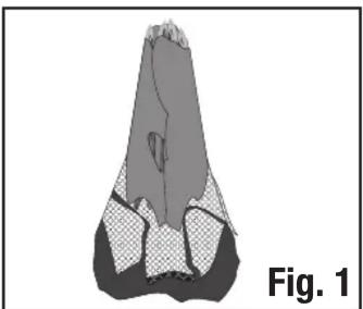 COLEMAN Instant Up 8P - Extend the Tent Frame - 1