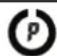 CareOne AHBPW-060 - RISK CATEGORY INDEX - 2
