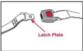 Latch Plate