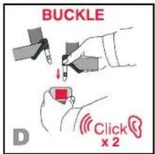 BUCKLE D Click x 2