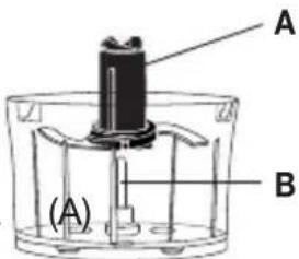 A B (A)