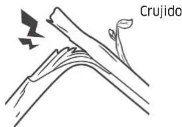 Crujido